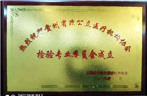 非公立医疗机构检验专业委员会